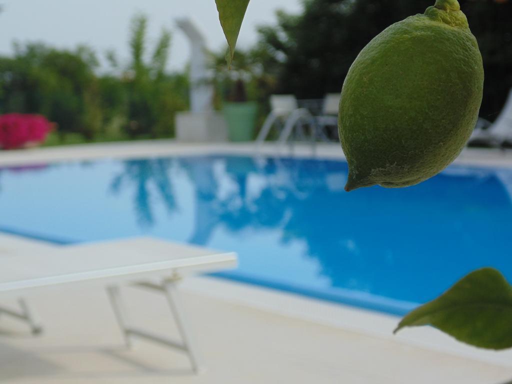 Agriturismo Dell'Orto Apartments Βερόνα Εξωτερικό φωτογραφία