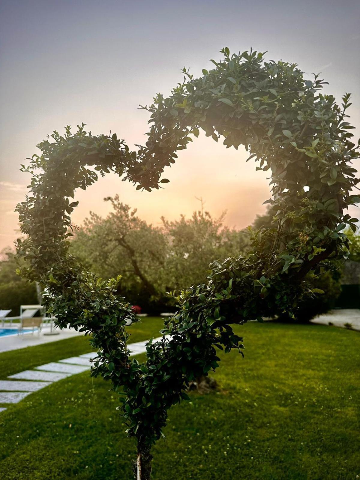 Agriturismo Dell'Orto Apartments Βερόνα Εξωτερικό φωτογραφία